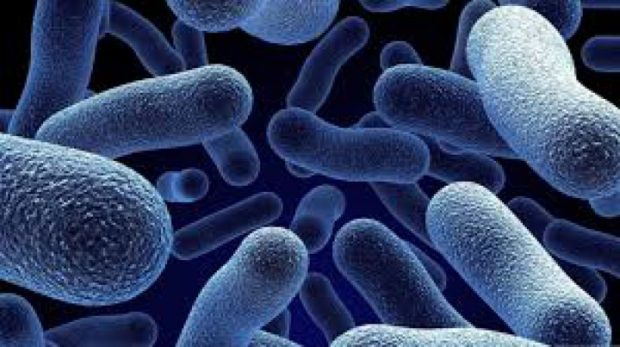 bacterie ucigasa
