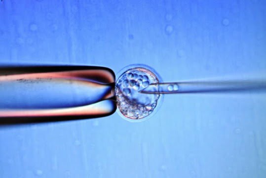 experiment pe oameni celule stem