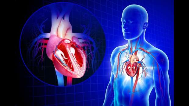 factori de risc cardiovascular