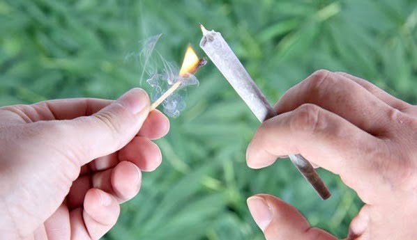 consumul de etnobotanice