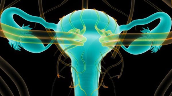 salpingita inflamația trompelor uterine