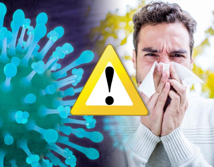 pandemie de gripa