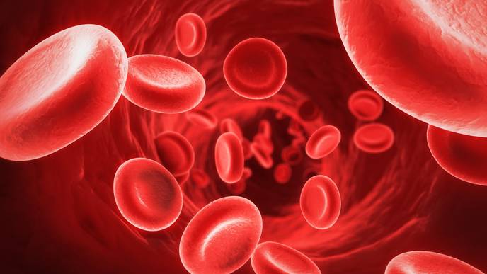 tratamentul anticoagulant