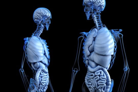 Detoxifierea colonului a devenit un obicei foarte popular in curele de slabire si ajuta la detoxifierea rapida a organismului.
