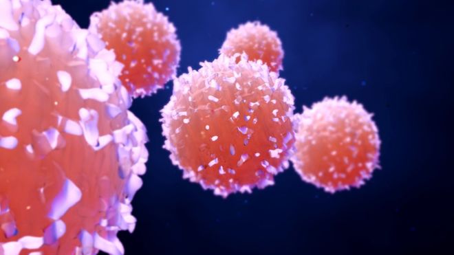 imunoterapie oncologica