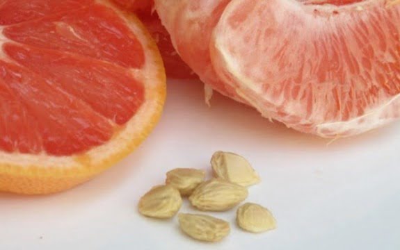 sâmburii de grapefruit