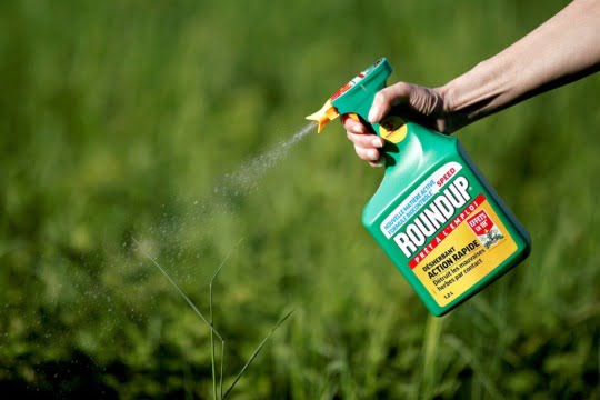 bayer