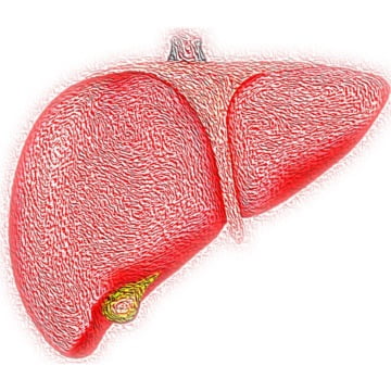cancerul hepatic