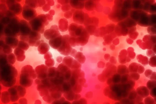 ce este leucemia