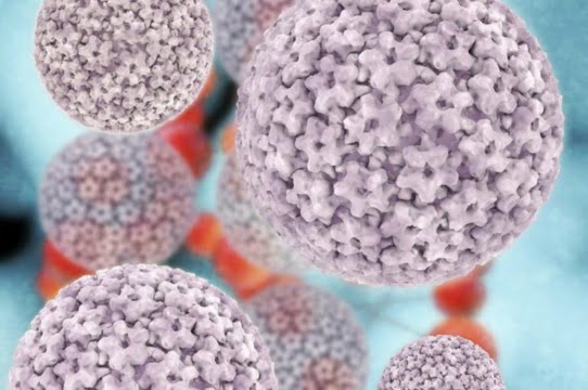 Infecția HPV
