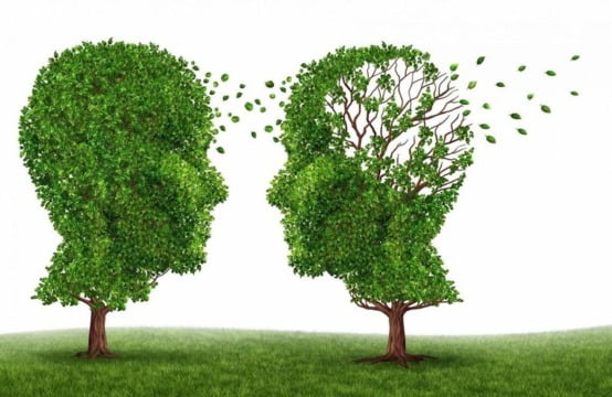 Boala Alzheimer