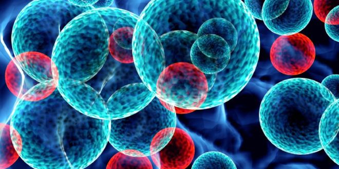 Leucemia limfatică cronică