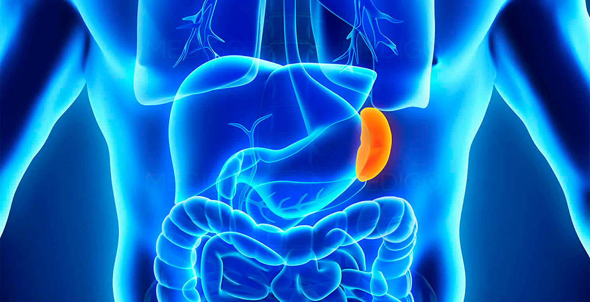 splenectomia